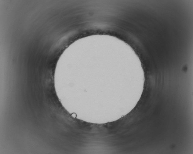 X0000115820918200912241932