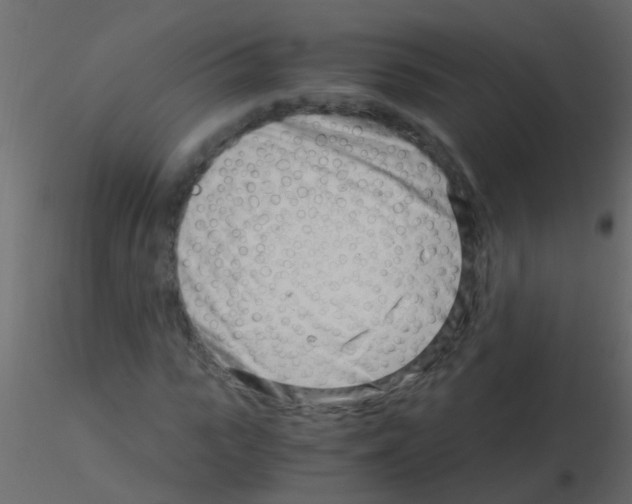 X0000115820919200912241932