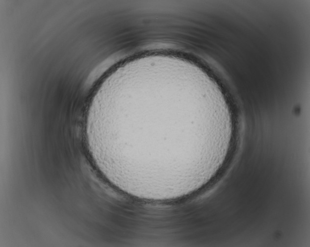 X0000115820921200912241932