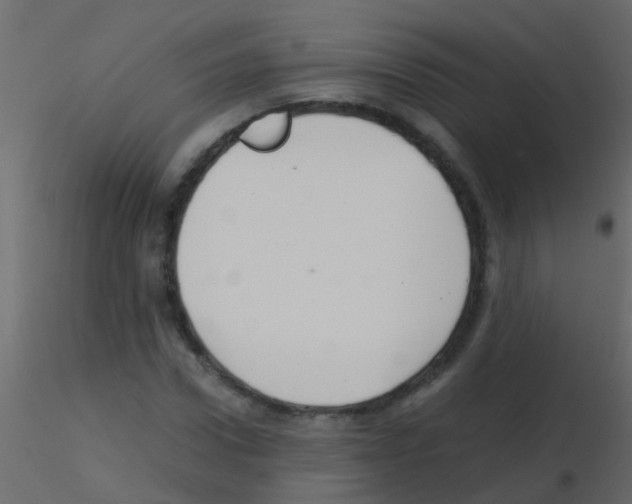 X0000115820922200912241932