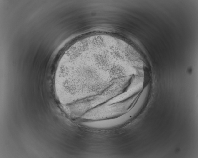 X0000115820923200912241932