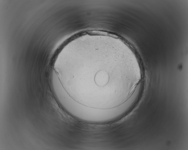 X0000115820925200912241932