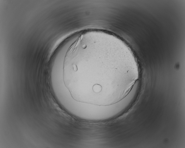 X0000115820926200912241932