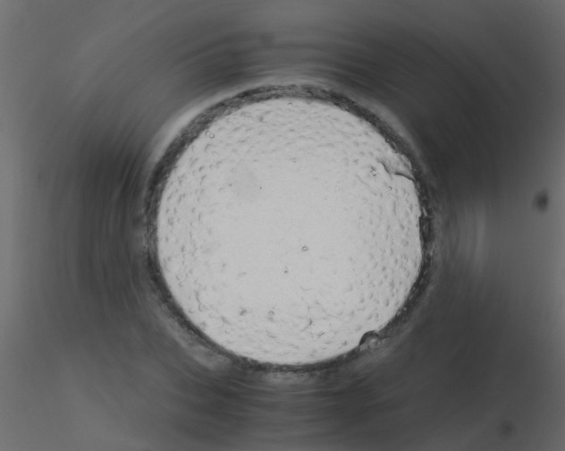 X0000115820927200912241932