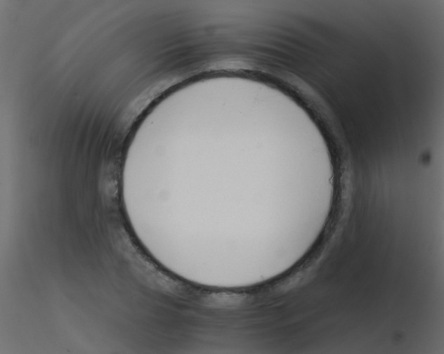 X0000115820929200912241932