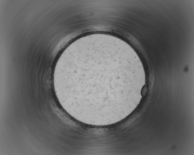 X0000115820930200912241932