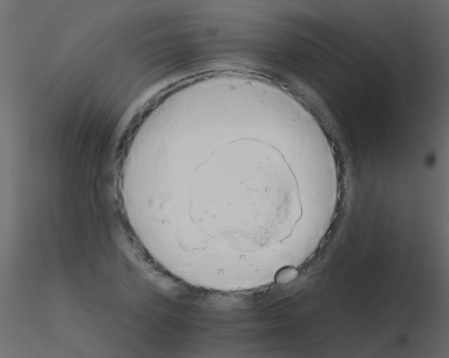 X0000115820931200912241932