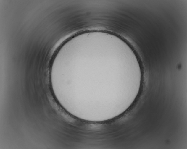 X0000115820933200912241932