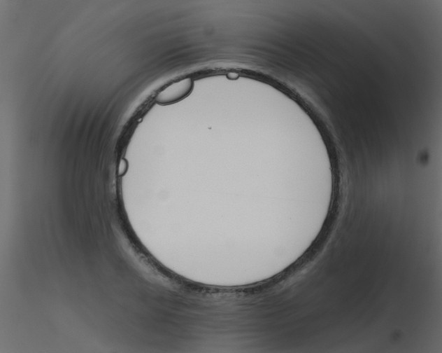 X0000115820934200912241932