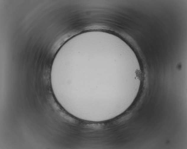 X0000115820937200912241932