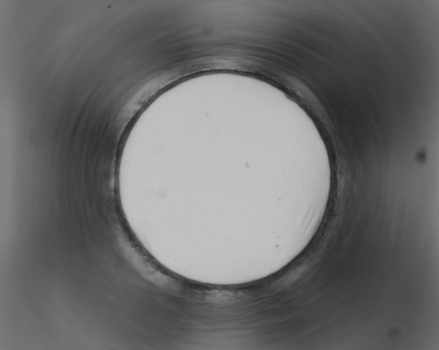 X0000115820938200912241932