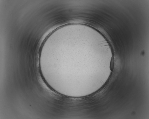 X0000115820939200912241932