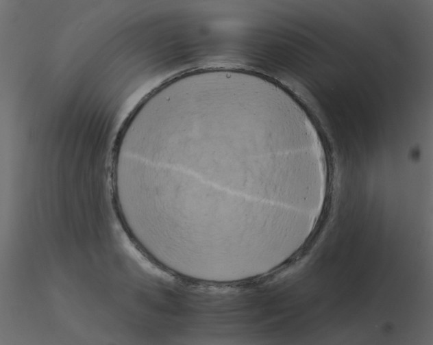 X0000115820941200912241932