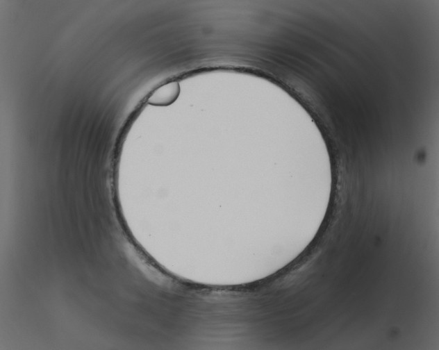 X0000115820942200912241932