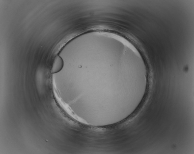 X0000115820945200912241932