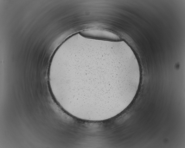 X0000115820946200912241932