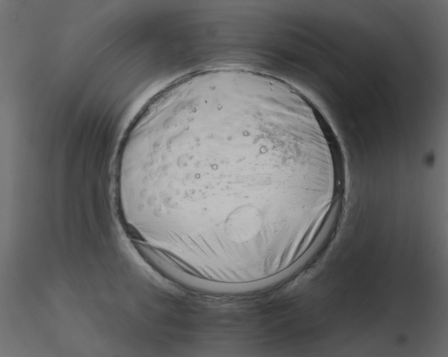 X0000115820949200912241932