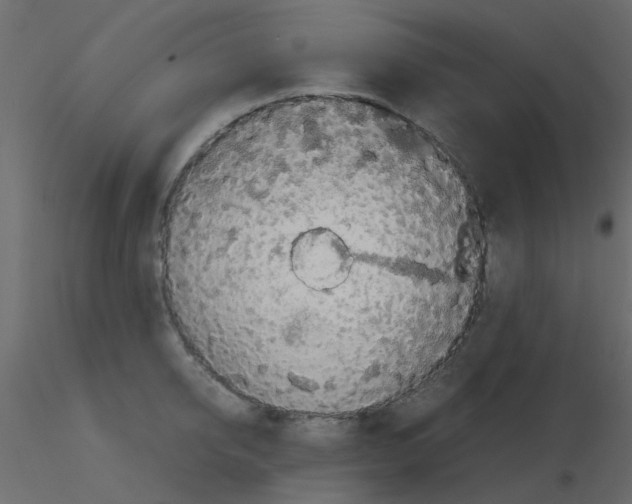 X0000115820950200912241932