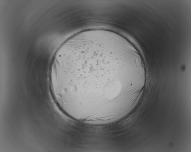 X0000115820951200912241932