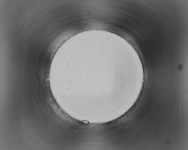 X0000115820954200912241932