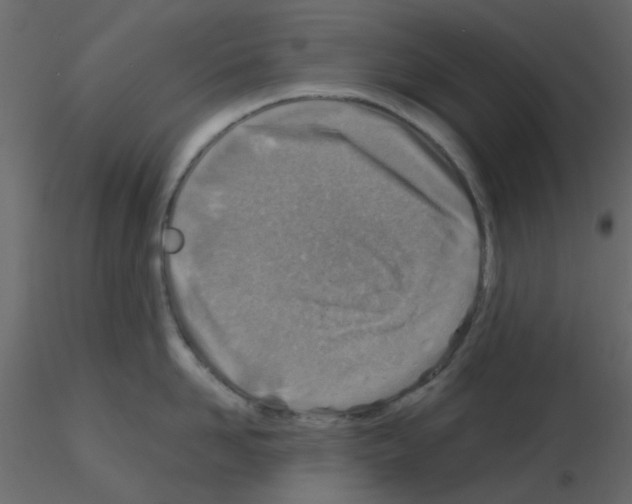 X0000115820958200912241932