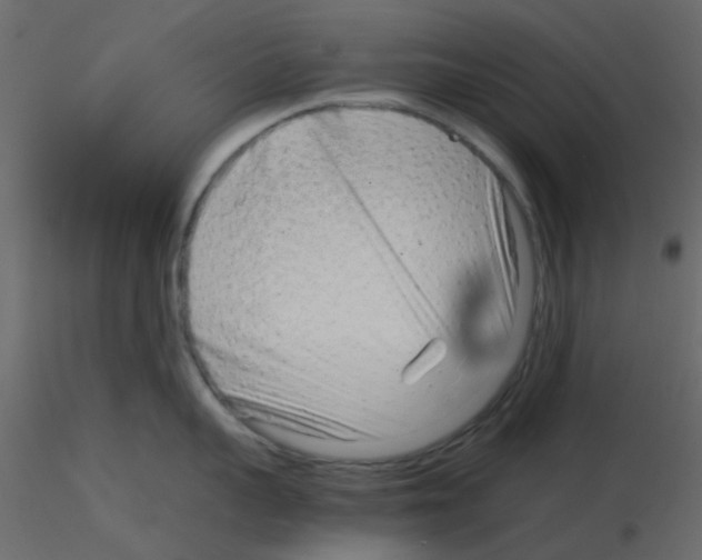 X0000115820959200912241932