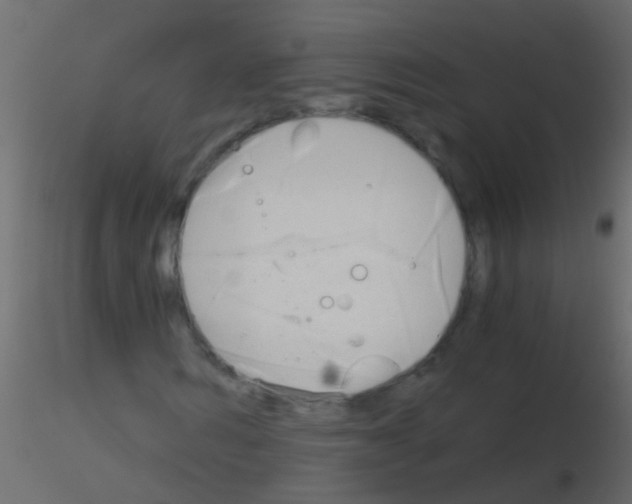 X0000115820962200912241932