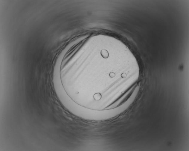 X0000115820965200912241931