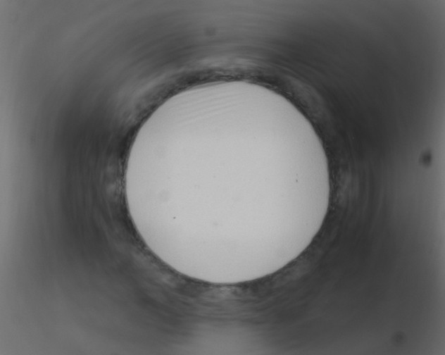 X0000115820966200912241931