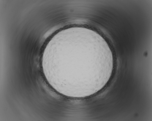 X0000115820970200912241931