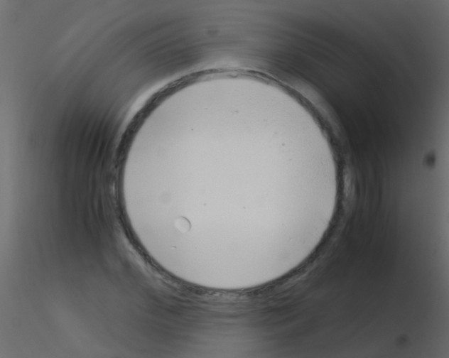 X0000115820972200912241931