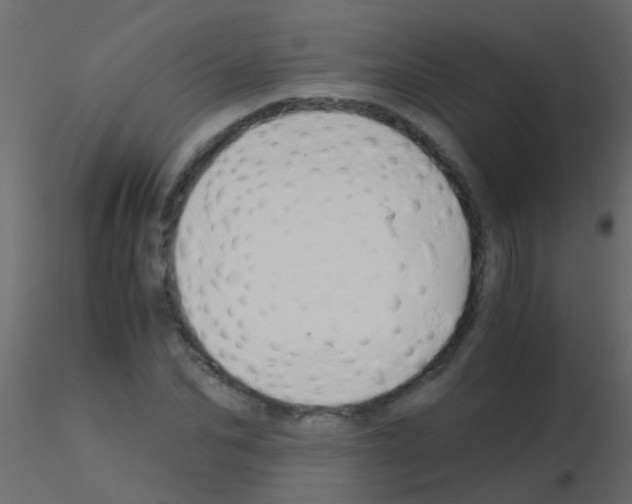 X0000115820974200912241931