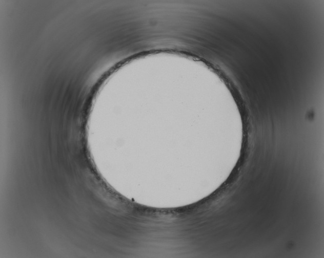 X0000115820975200912241931