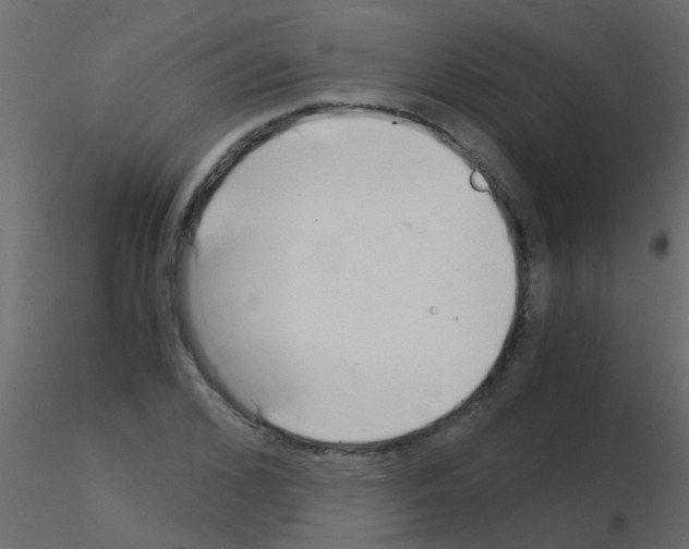 X0000115820976200912241931