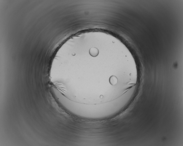 X0000115820977200912241931