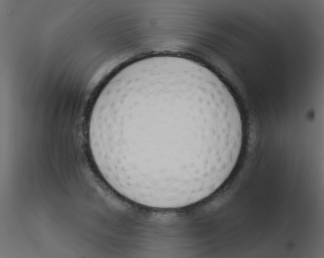 X0000115820978200912241931