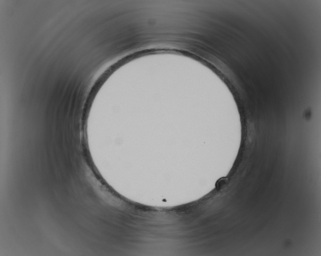 X0000115820980200912241931