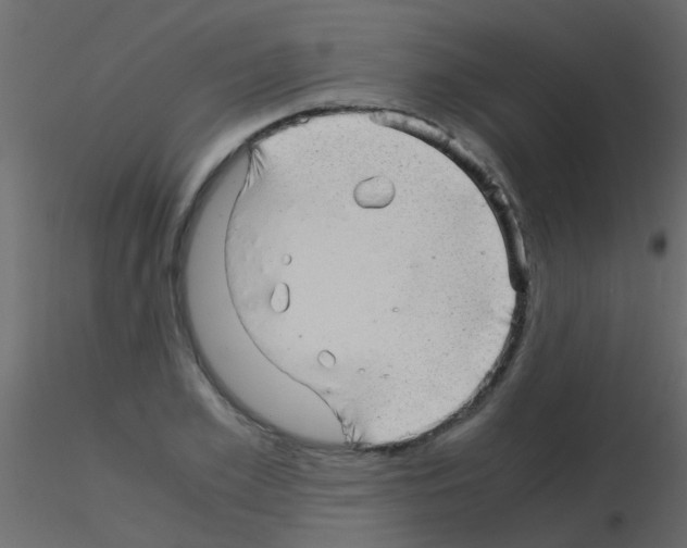 X0000115820981200912241931