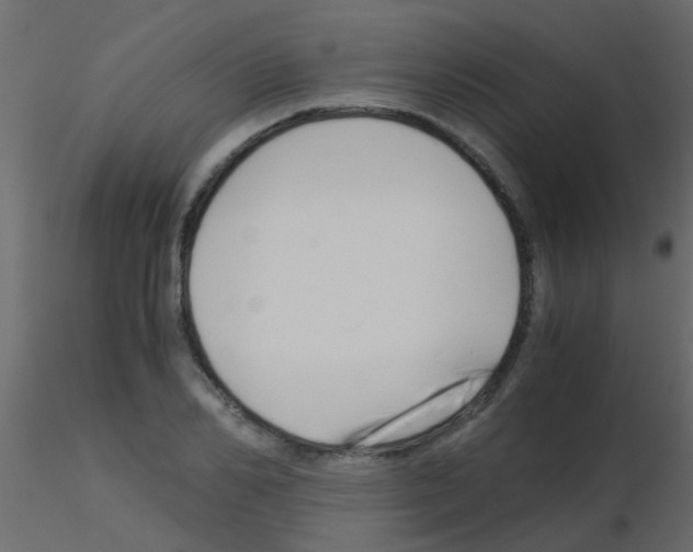 X0000115820982200912241931