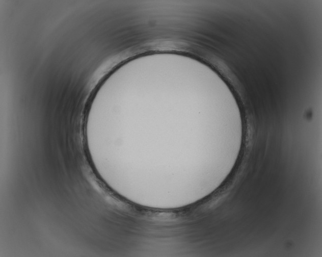 X0000115820986200912241931