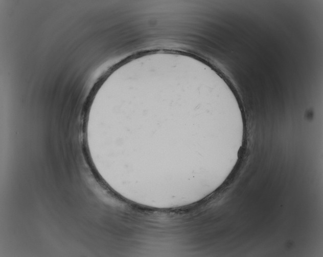 X0000115820987200912241931