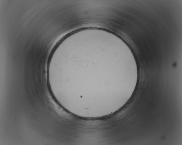 X0000115820988200912241931