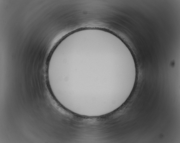 X0000115820990200912241931