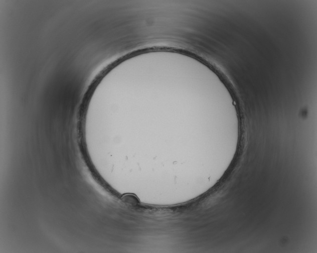 X0000115820991200912241931