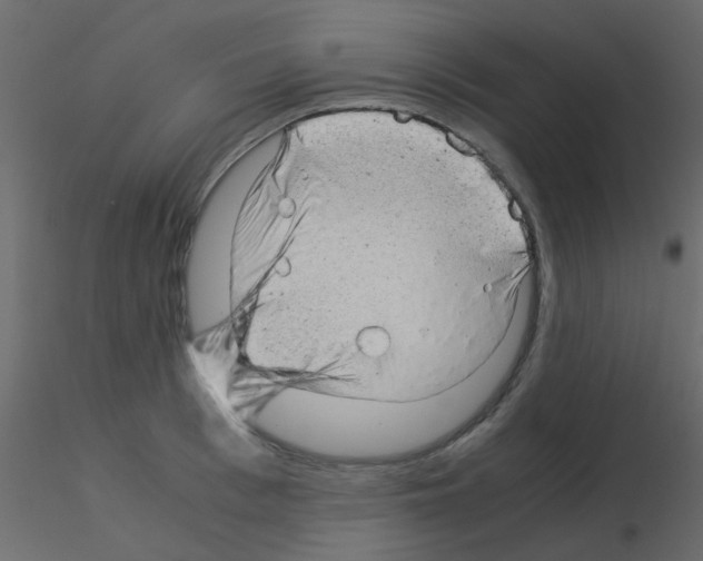 X0000115820993200912241931