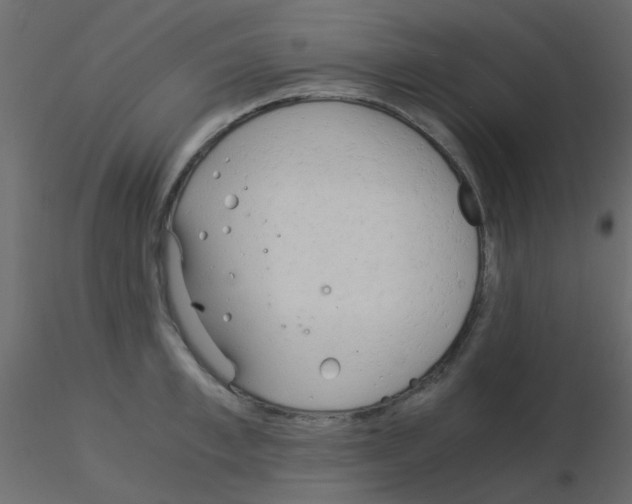 X0000115820997200912241931