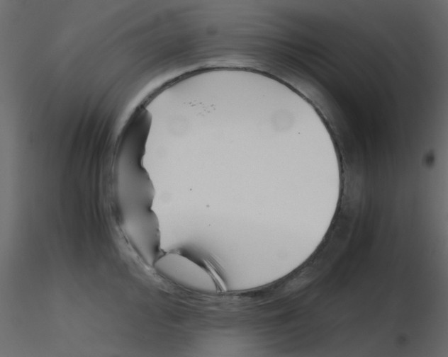 X0000115821000200912241931