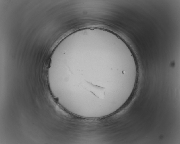 X0000115821001200912241931