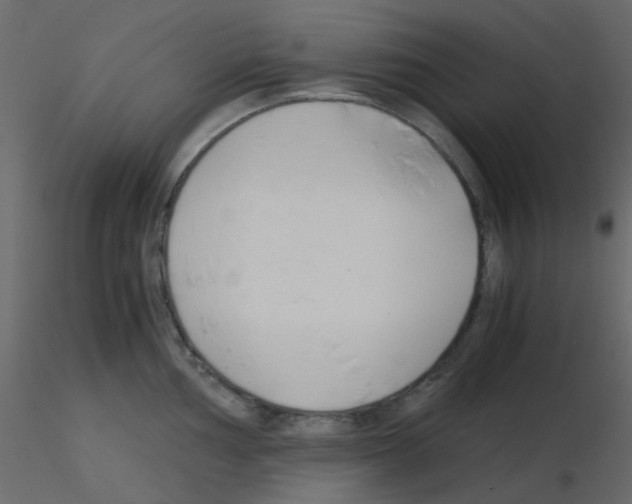 X0000115821002200912241931