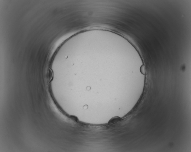 X0000115821003200912241931